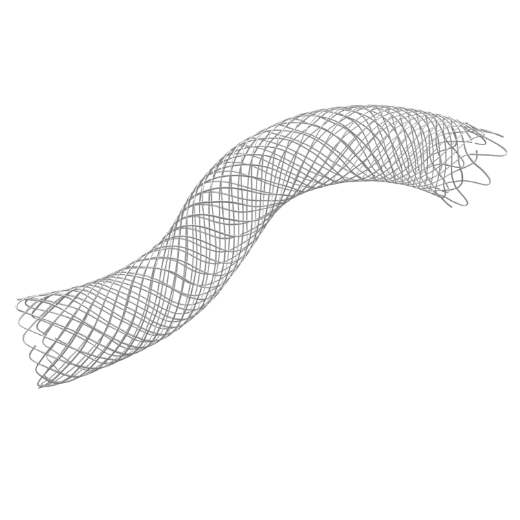 Vflower? Venous Stent System